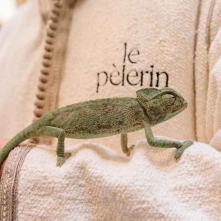 Riad Le Pelerin Marrakesh Bagian luar foto